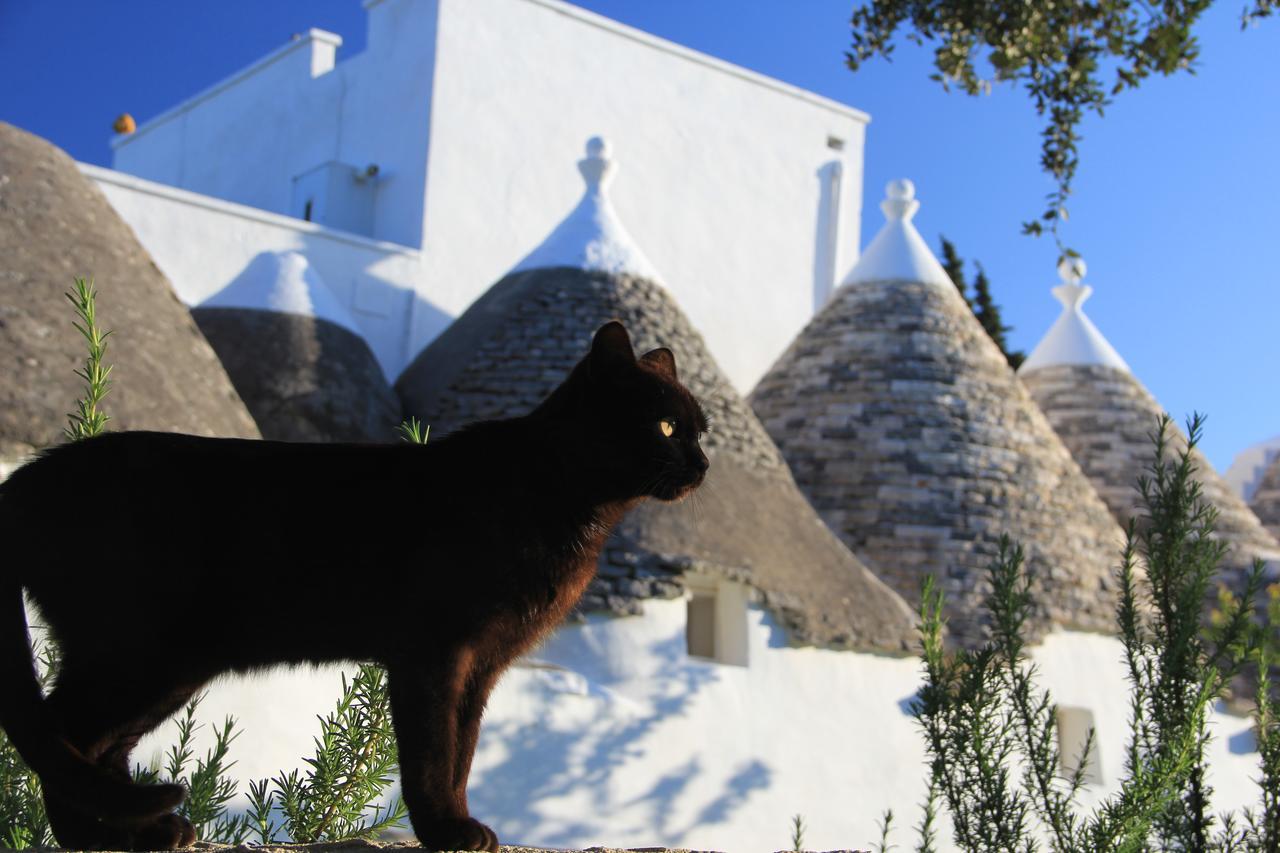 Masseria Trulli Sull'Aia Cisternino Exterior photo